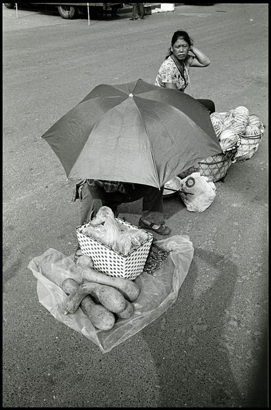 ©copyright Marco Giardini